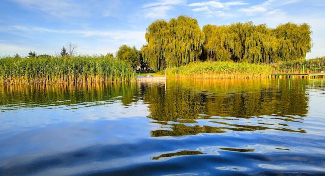 Przystan Nad Miazka Villa Sapowice Dış mekan fotoğraf